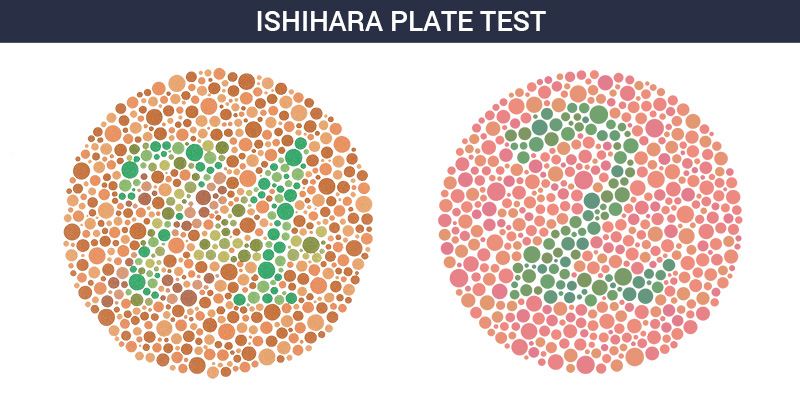 Ishihara Plate test