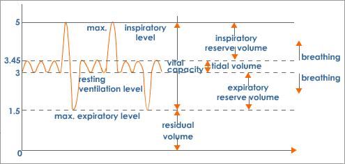 Lung capacity