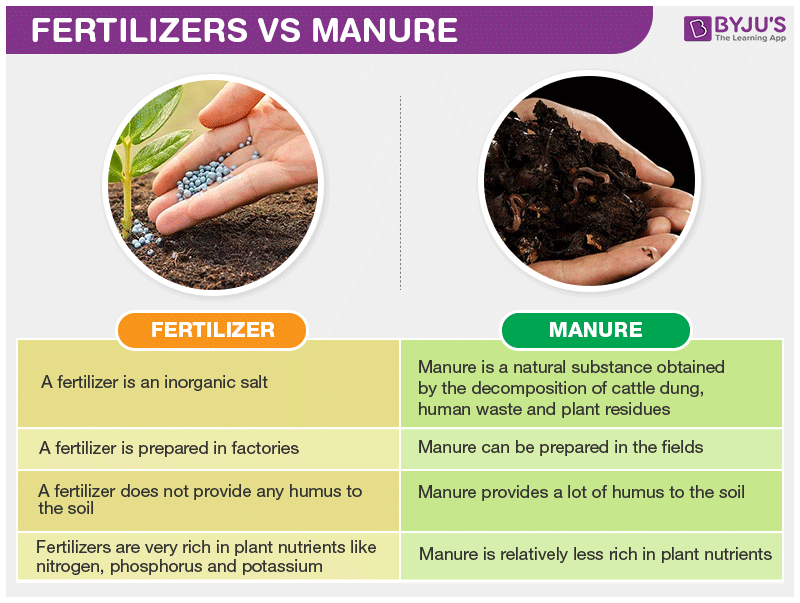 Fertilizers Vs Manure