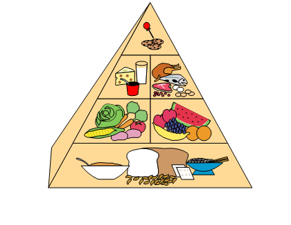 Essential Nutrients Essential Nutrients