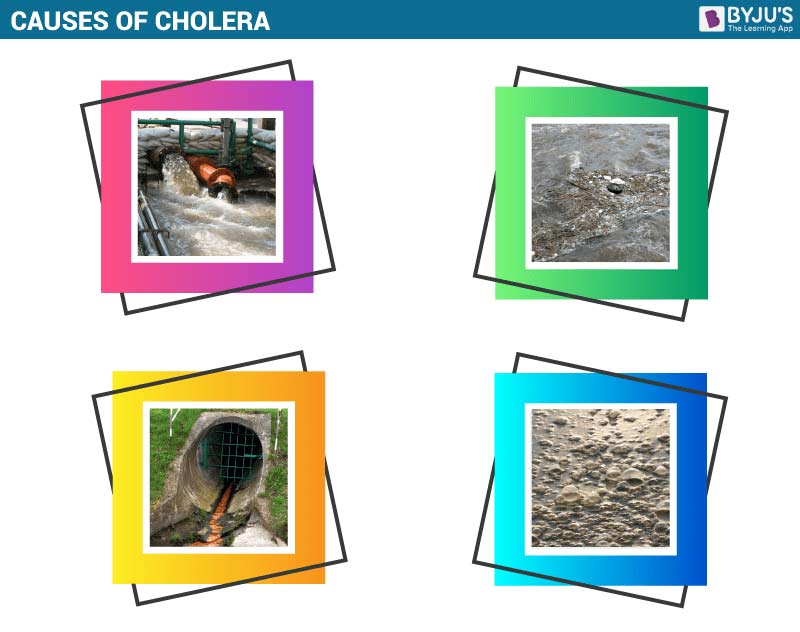 Causes of Cholera