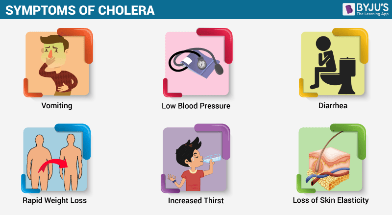 Five Basic Cholera Prevention Steps, Cholera