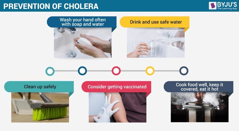 Prevention of Cholera