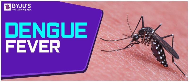 Dengue fever Black and White Stock Photos & Images - Alamy