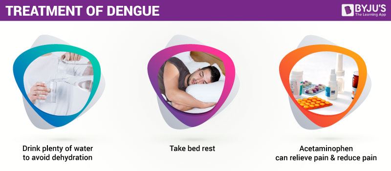 Treatment for Dengue Fever 