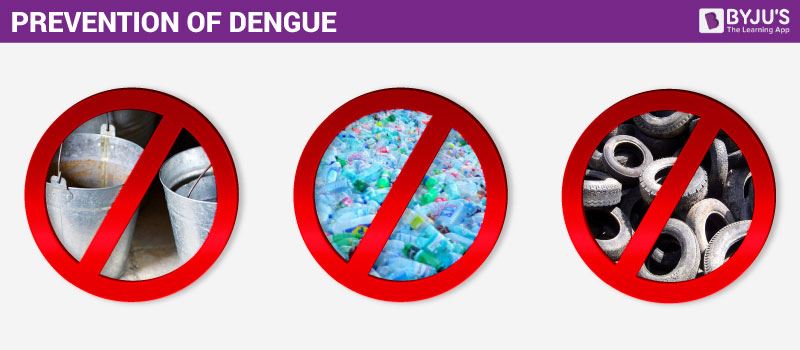 dengue prevention