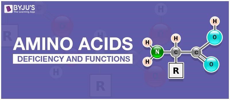 Amino Acids