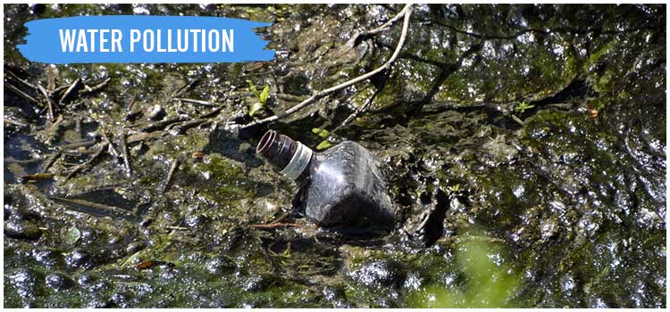 Air Water And Soil Pollution Impacts On The Environment And Human Health