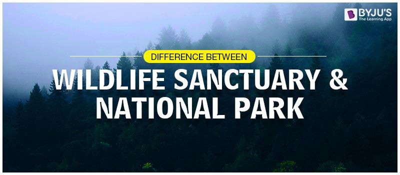 Difference Between Wildlife Sanctuary And National Park