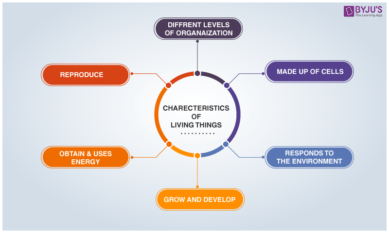 The Characteristics of Living Things