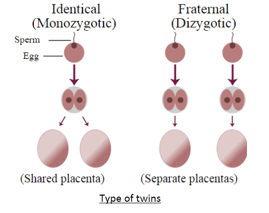 Heredity and Evolution