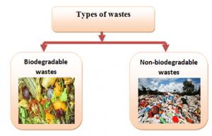 Types of wastes