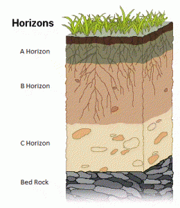 Soil