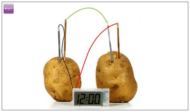 Potato Battery Science Working Models