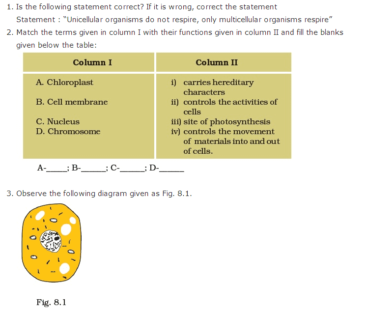 case study on cell structure and function class 8