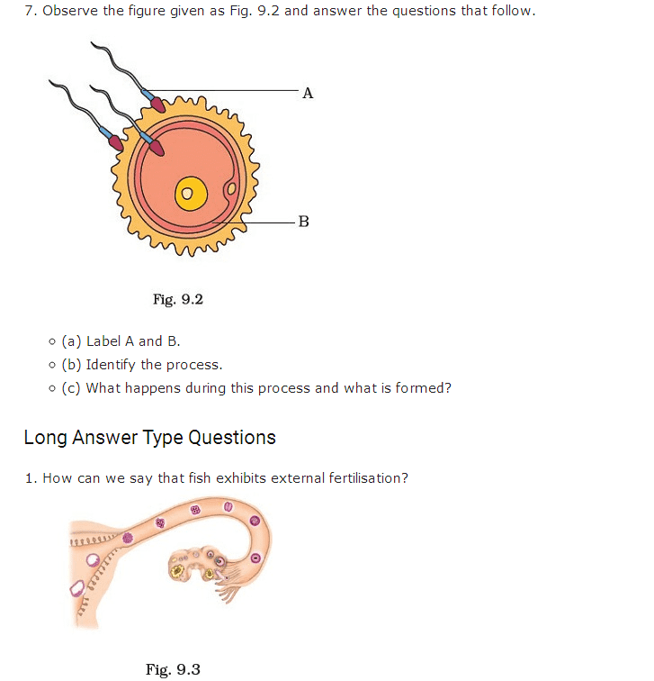 Important Questions Class 8 Science Chapter 9 Reproduction Animals