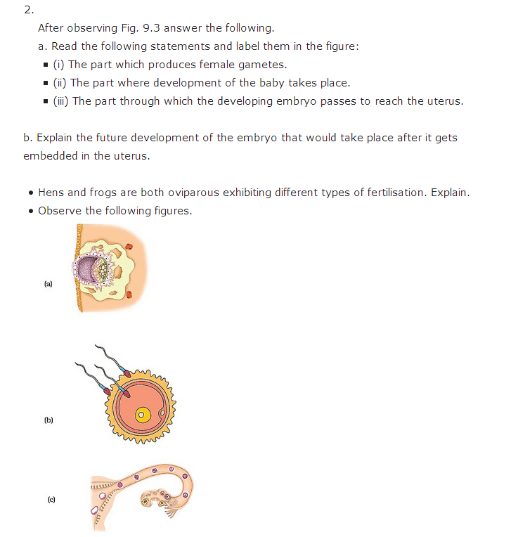 Important Questions Class 8 Science Chapter 9 Reproduction Animals