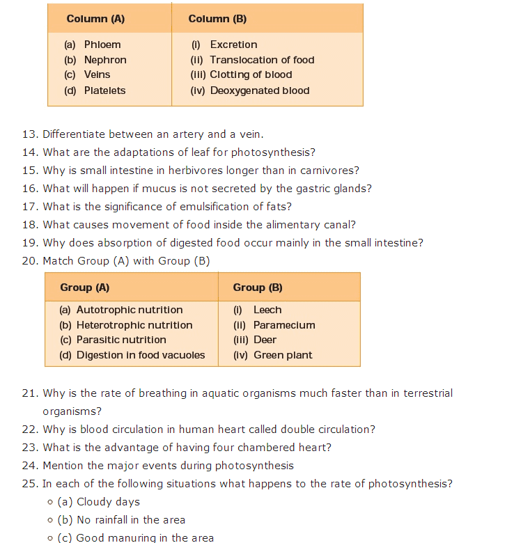 Important Questions For Class 10 Science Chapter 6 Life Processes