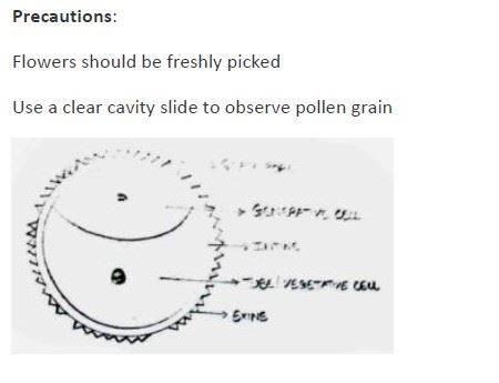 class 12 biology experiments cbse