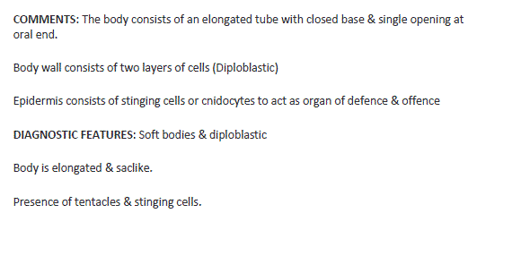 Biology class11 experiment4 image25