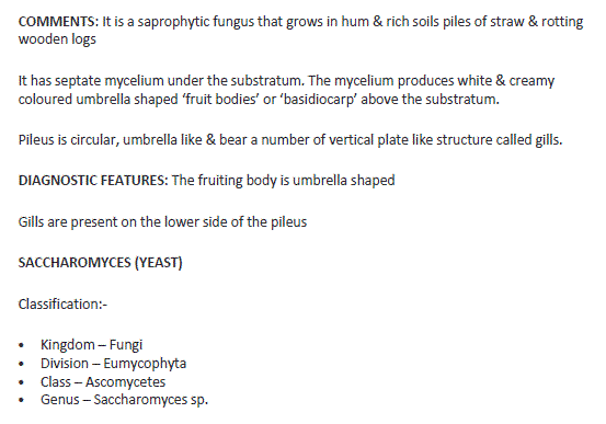 Biology class11 experiment5 image3