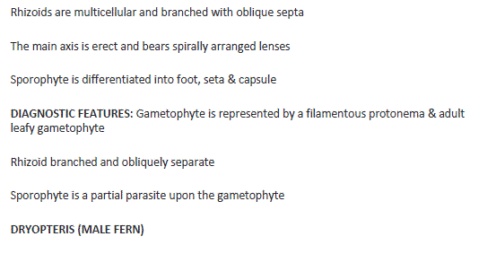 Biology class11 experiment5 image10