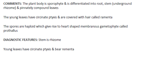 Biology class11 experiment5 image12