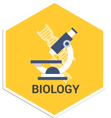 CBSE Subjects | Maths, Physics, Chemistry and Biology