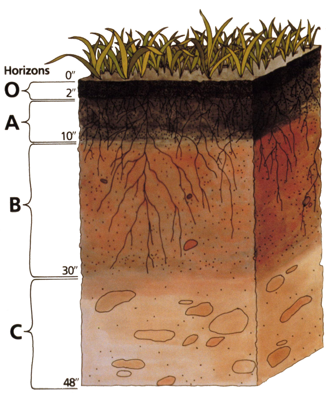 Properties of Soil Properties of Soil