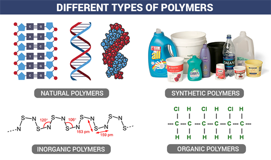 Different Types of Polymers Class 14 