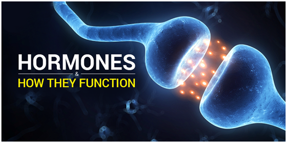 Elementary Idea On Hormones | How Does A Hormone Function ?| Chemistry | Byju's