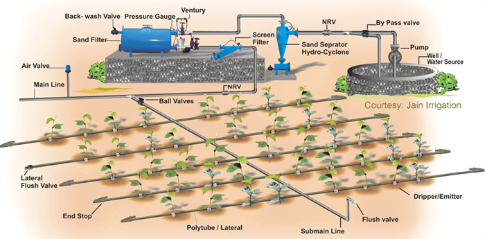 Drip irrigation - Water Management