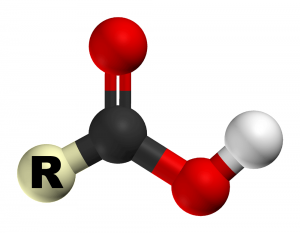 Carboxyl Group structure - Carboxylic Acids Carboxyl Group Structure - Carboxylic Acids