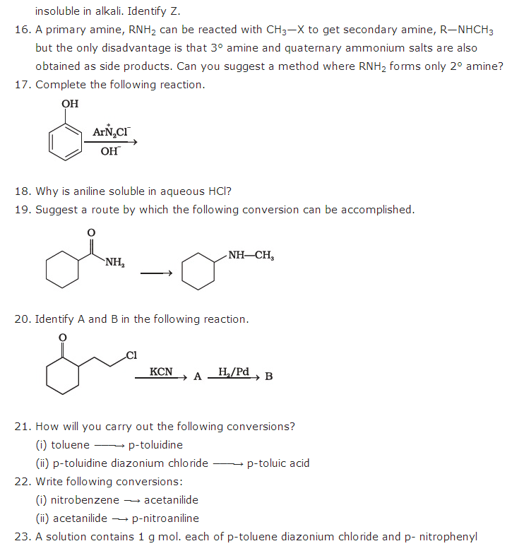 Anic Pounds Containing Nitrogen Chapter 13 Important Questions