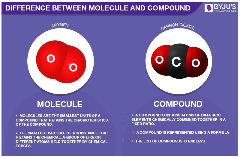 Difference between Molecule and Compound in Tabular Form