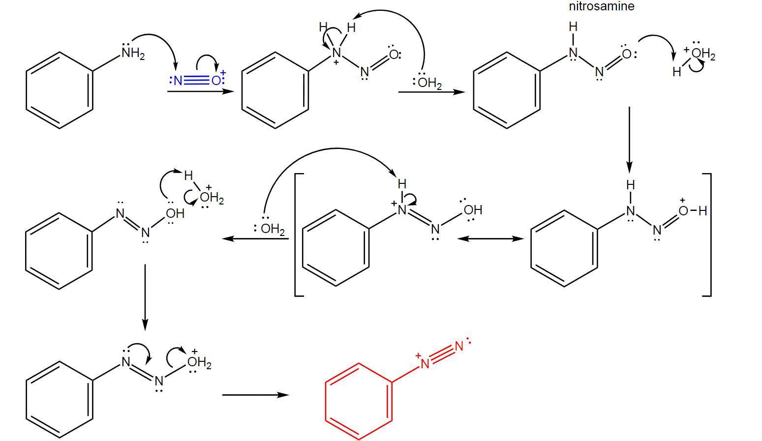 Benzenediazonium Ion Formation Benzenediazonium Ion Formation