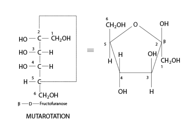 Fructose