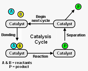Catalysis Catalysis