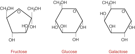 Fructose Monosaccharide Fructose Monosaccharide