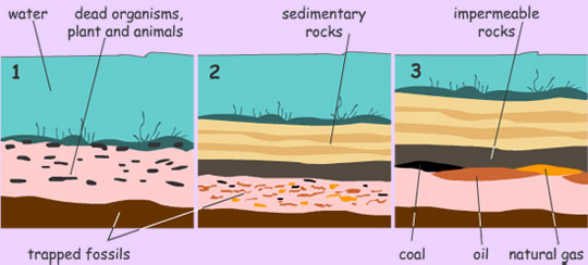 Fossil Fuels - Formation Of Fossil Fuels Fossil Fuels - Formation Of Fossil Fuels