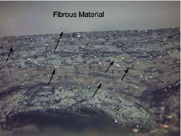Fibrous Materials Fibrous Materials
