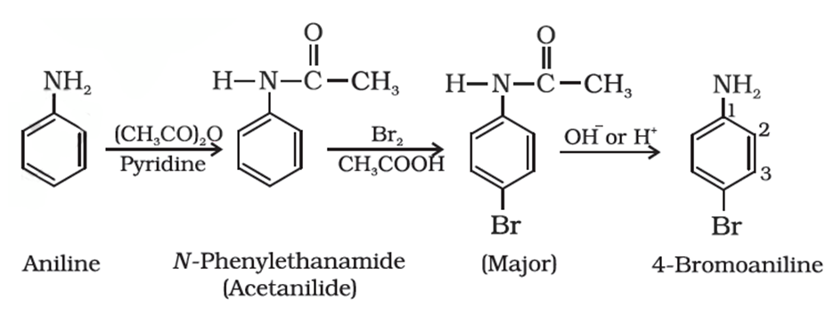 acetylation of aniline with acetic anhydride