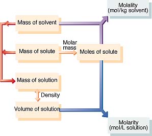 Molarity And Mole Fraction Definition Uses Applications In