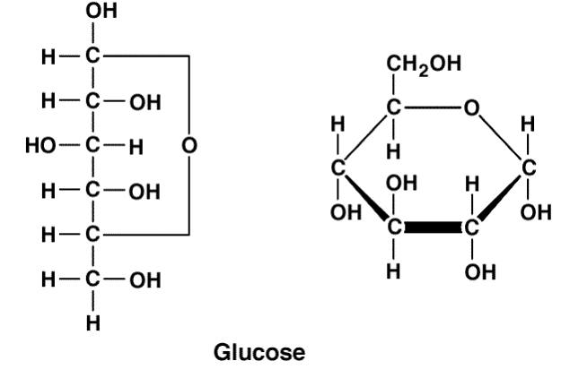 Different Structural Forms of Glucose By unacademy