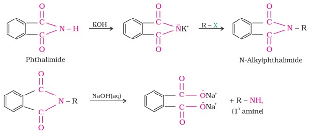 Gabriel phthalimide synthesis
