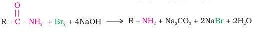 Hoffmann bromamide degradation reaction