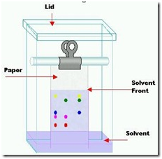 Chromatography Partition Chromatography