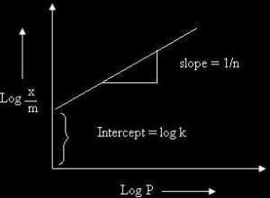 image0073 Freundlich Isotherm