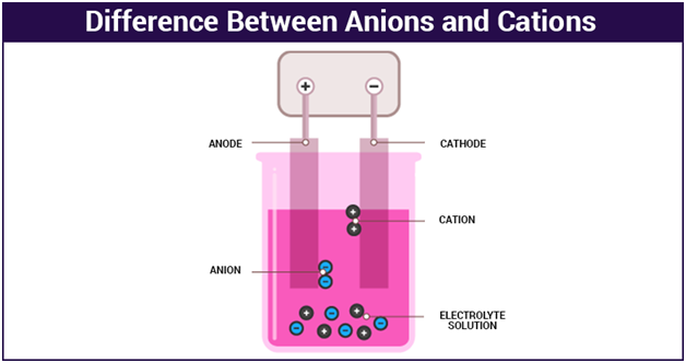 Cations And Anions Difference Between Anions And Cations Examples