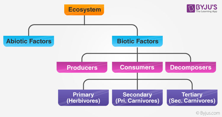 Ecosystem- Structure, Functions, Units and Types of Ecosystem